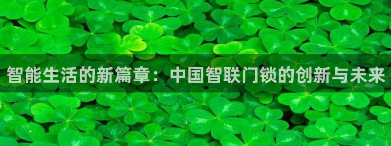 今年会送彩金28：智能生活的新篇章：中国智联门锁的创新与未来