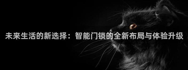 金雅陶瓷年会现场：未来生活的新选择：智能门锁的全新布局与体验