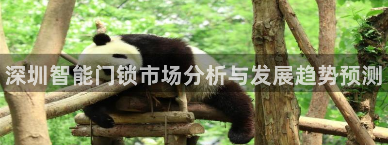 金年会综合APP：深圳智能门锁市场分析与发展趋势预测