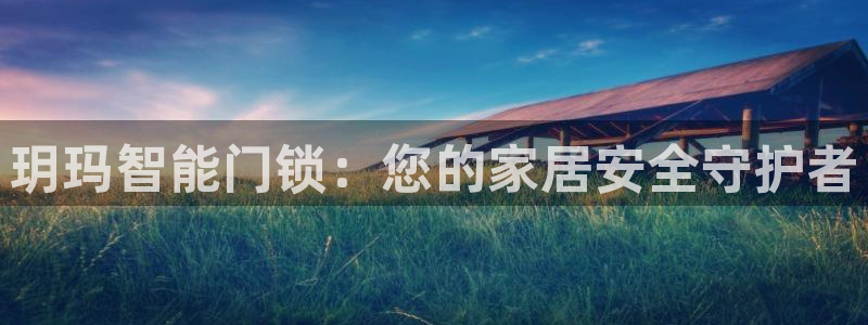 金年会 信誉至上：玥玛智能门锁：您的家居安全守护者