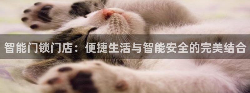 金年会今年会：智能门锁门店：便捷生活与智能安全的完美结合