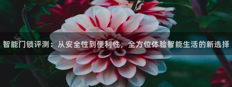 金年会手机app：智能门锁评测：从安全性到便利性，全方位体验