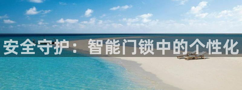 金年会APP黑钱：安全守护：智能门锁中的个性化