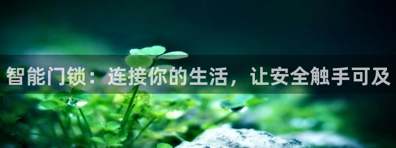 金年会体育娱乐：智能门锁：连接你的生活，让安全触手可及