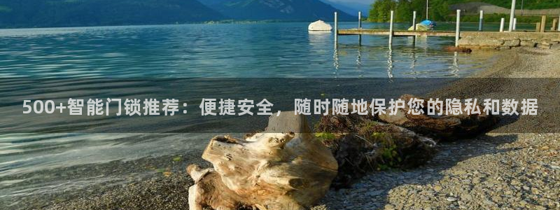 金金年会：500+智能门锁推荐：便捷安全，随时随地保护您的隐