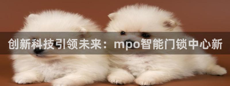金年会黑平台：创新科技引领未来：mpo智能门锁中心新