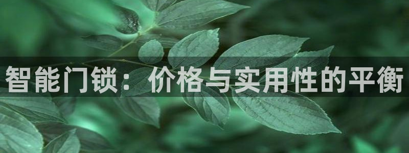 金年会体育：智能门锁：价格与实用性的平衡