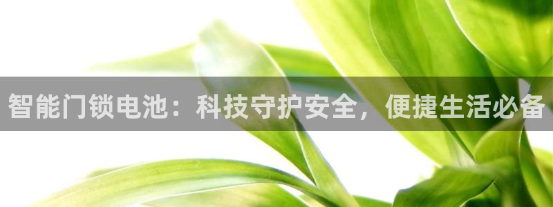 金年会app下载中国金年会：智能门锁电池：科技守护安全，便捷