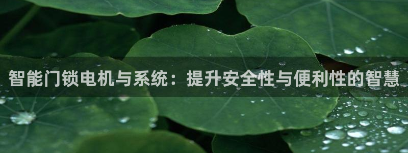 金年会平台登陆：智能门锁电机与系统：提升安全性与便利性的智慧