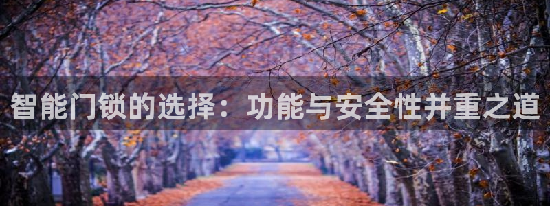 金 金年会：智能门锁的选择：功能与安全性并重之道