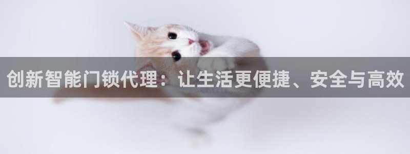 金年会手机官网：创新智能门锁代理：让生活更便捷、安全与高效