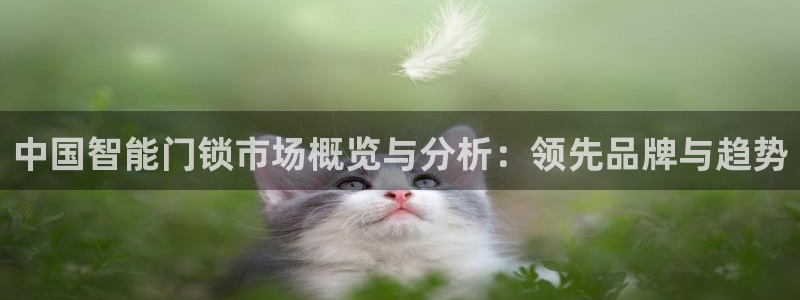 金年会活动：中国智能门锁市场概览与分析：领先品牌与趋势
