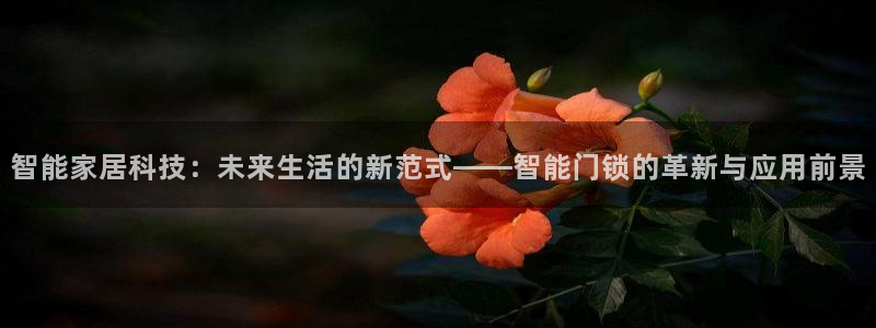 金年会网官网新版：智能家居科技：未来生活的新范式——智能门锁