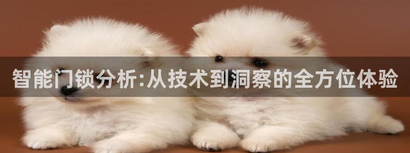 金年会app下载中国金年会：智能门锁分析:从技术到洞察的全方