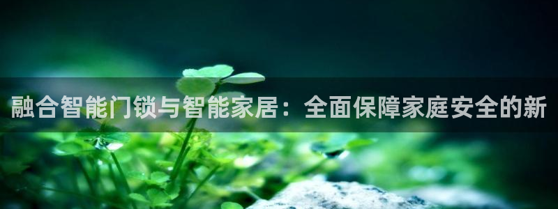 金年会是啥：融合智能门锁与智能家居：全面保障家庭安全的新