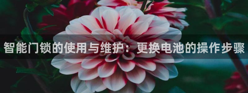 金年会网页：智能门锁的使用与维护：更换电池的操作步骤