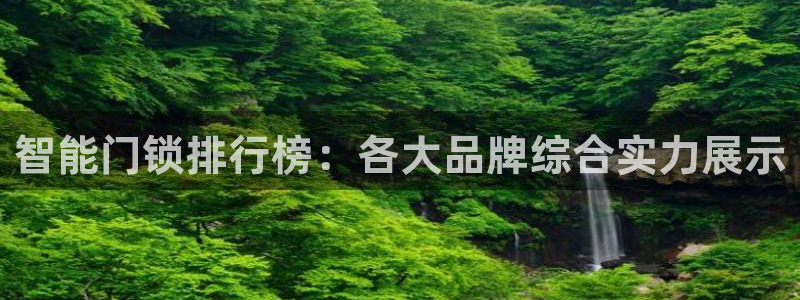 金年会体育下载：智能门锁排行榜：各大品牌综合实力展示