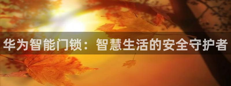 金年会全站：华为智能门锁：智慧生活的安全守护者