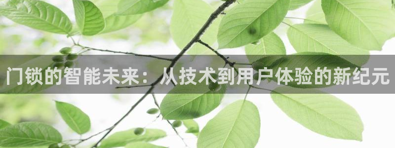 金齿科年会：门锁的智能未来：从技术到用户体验的新纪元