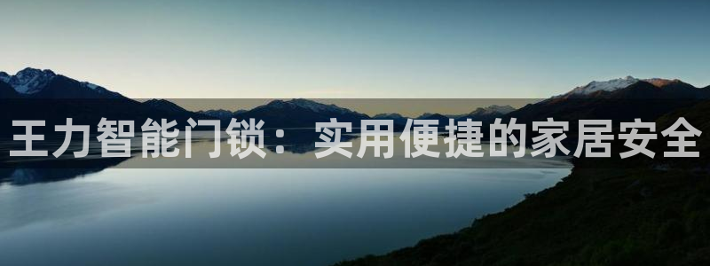 金年会入口网站：王力智能门锁：实用便捷的家居安全