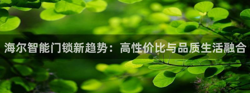 金年会娱乐-平台登录：海尔智能门锁新趋势：高性价比与品质生活