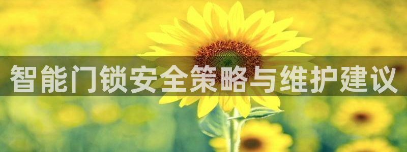 金年会入口：智能门锁安全策略与维护建议