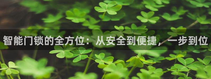 金年会首页登录：智能门锁的全方位：从安全到便捷，一步到位