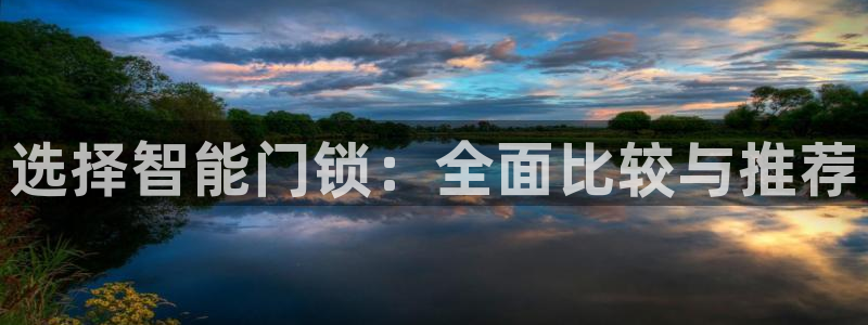 金年会官方客服：选择智能门锁：全面比较与推荐