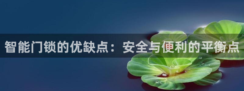金年会体育娱乐：智能门锁的优缺点：安全与便利的平衡点