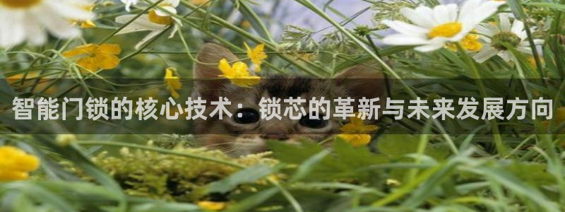 金年会体育平台入口：智能门锁的核心技术：锁芯的革新与未来发展