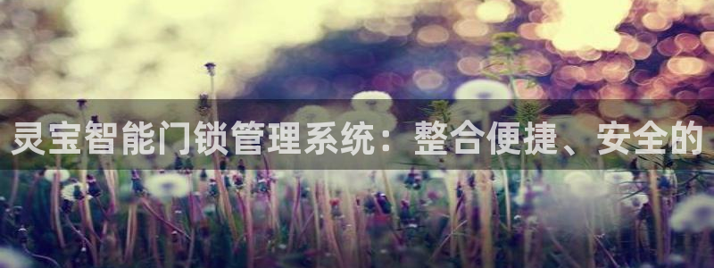 澳门与金年会的关系：灵宝智能门锁管理系统：整合便捷、安全的