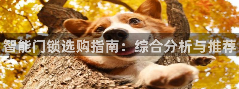 金年会：智能门锁选购指南：综合分析与推荐