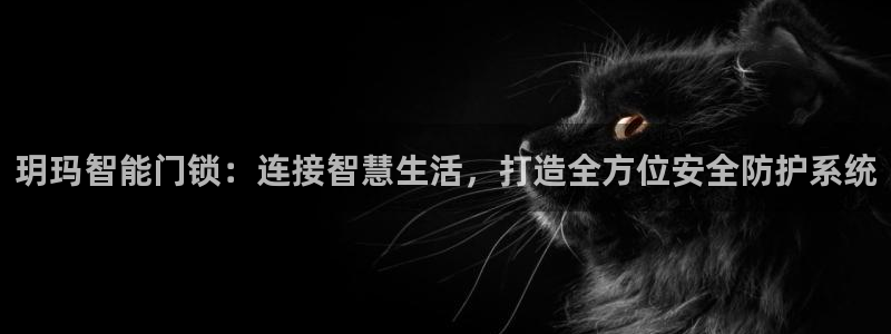 金年会体育app下载：玥玛智能门锁：连接智慧生活，打造全方位