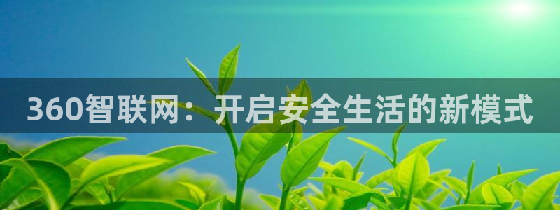 金年会网页版登陆：360智联网：开启安全生活的新模式
