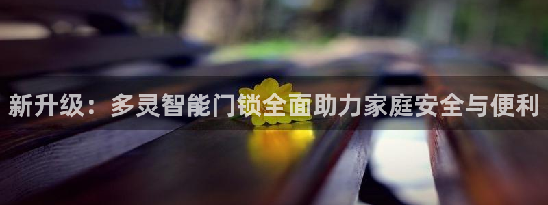 金汉江年会：新升级：多灵智能门锁全面助力家庭安全与便利