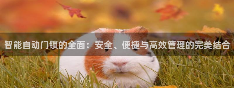 金年会官方在线登录：智能自动门锁的全面：安全、便捷与高效管理