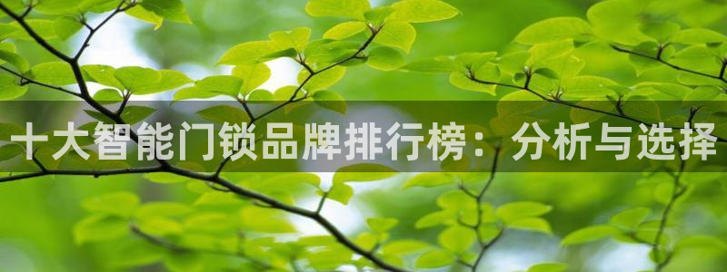 金年会官网地址：十大智能门锁品牌排行榜：分析与选择