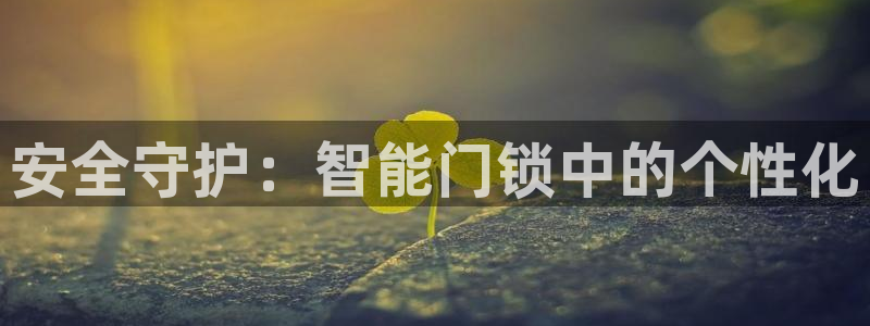 金年会安装：安全守护：智能门锁中的个性化