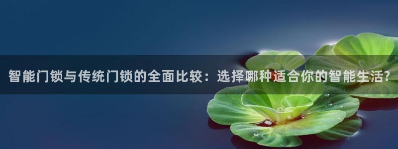 金年会手机登录：智能门锁与传统门锁的全面比较：选择哪种适合你