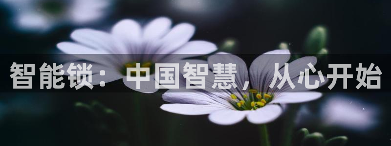 金年会官网app下载：智能锁：中国智慧，从心开始