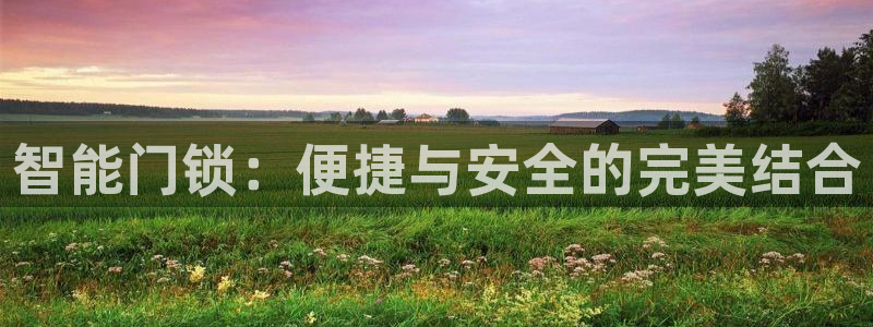 金年会.cc：智能门锁：便捷与安全的完美结合