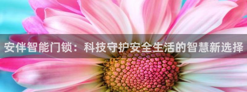 金年会金字招牌：安伴智能门锁：科技守护安全生活的智慧新选择