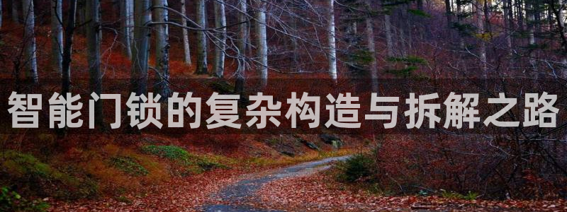 金年会全站：智能门锁的复杂构造与拆解之路