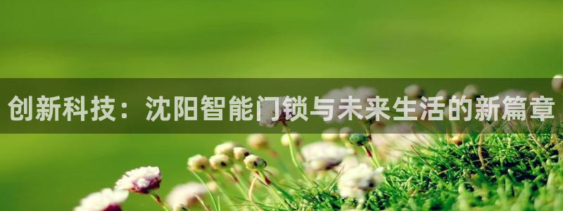金年会app：创新科技：沈阳智能门锁与未来生活的新篇章