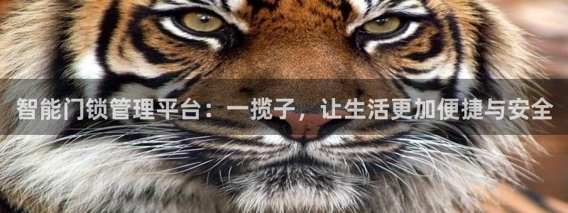 金年会吧：智能门锁管理平台：一揽子，让生活更加便捷与安全