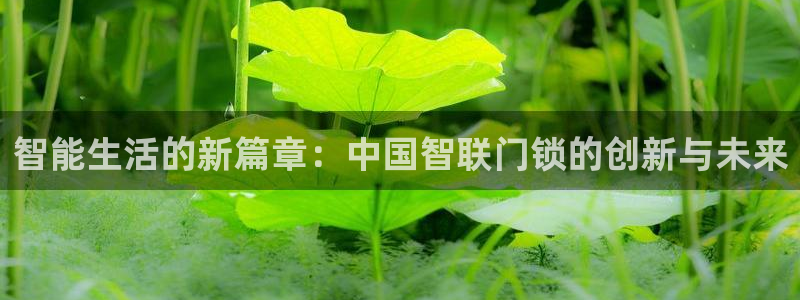 金年会体育在线入口：智能生活的新篇章：中国智联门锁的创新与未