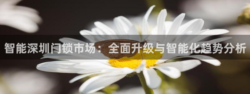 金年会这个平台：智能深圳门锁市场：全面升级与智能化趋势分析