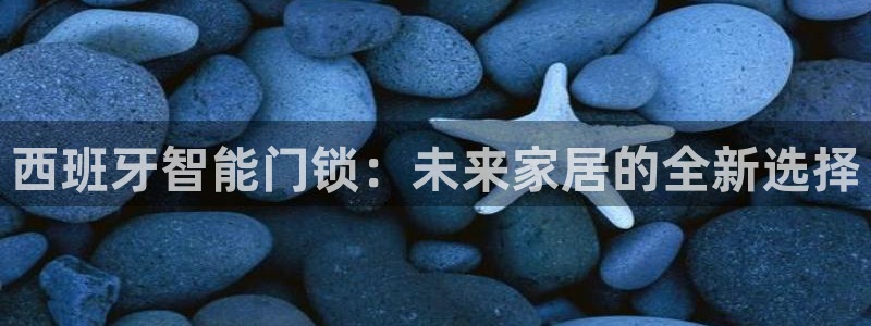 金年会体育官方网站入口：西班牙智能门锁：未来家居的全新选择