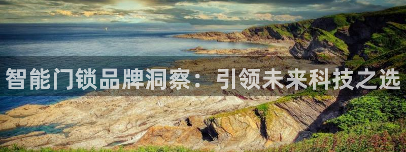 金年会平台登陆：智能门锁品牌洞察：引领未来科技之选