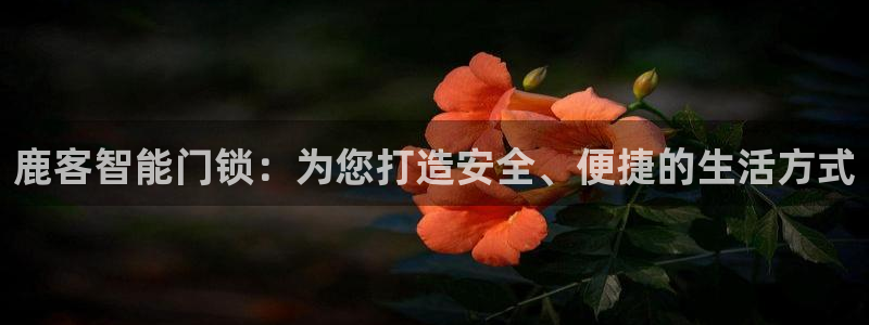 金年会app下载官网：鹿客智能门锁：为您打造安全、便捷的生活
